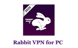 Fastest Rabbit Vpn Free Download For Pc
