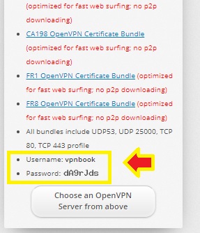 OpenVPN Free VPN Server Connection